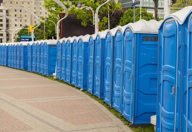 a fleet of portable restrooms ready for use at a large outdoor wedding or celebration in Cedar Glen